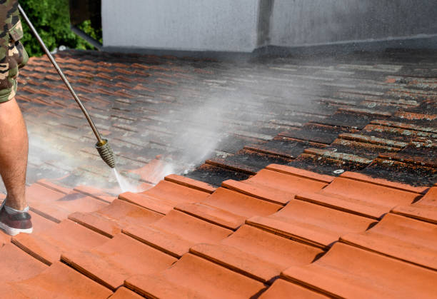 Best House Pressure Washing  in Arcadia, FL