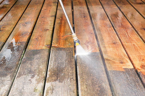 Best Roof Power Washing Services  in Arcadia, FL