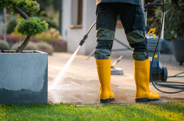 Best Pressure Washing Driveway  in Arcadia, FL